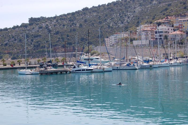 Hotel Olympos Mitos Exterior foto